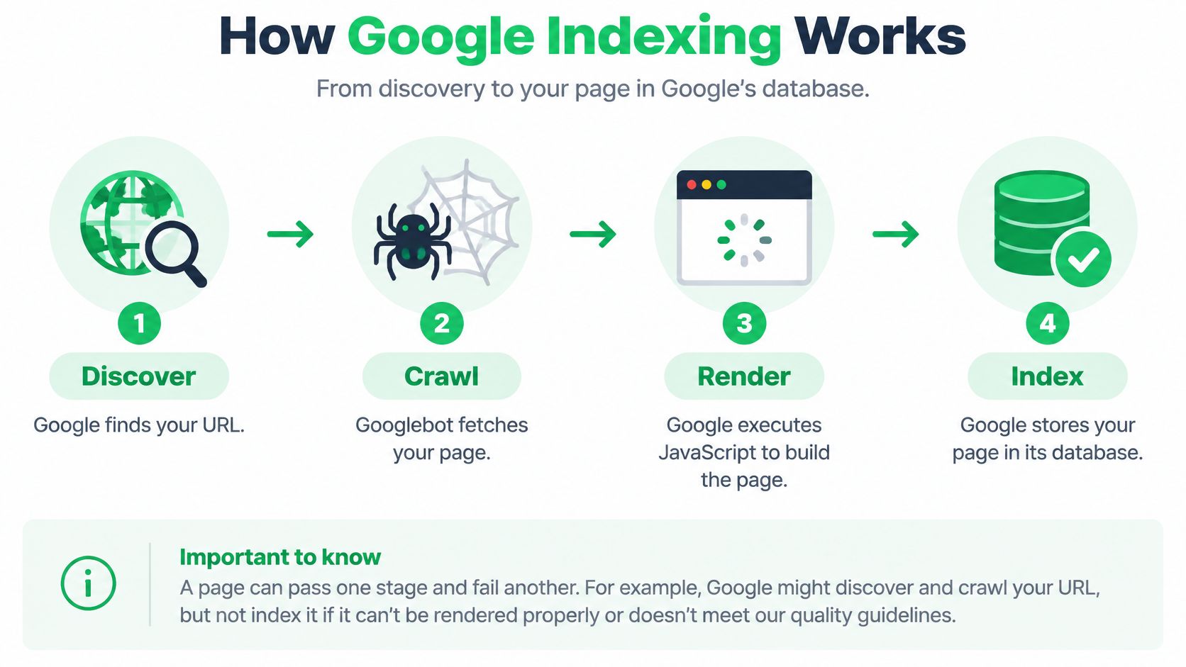 A four-step infographic illustrating the Google indexing process from URL discovery to final database storage.